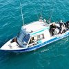 Blue Line Fishing Charters