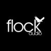 Flock Audio