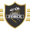 Service Force Towing