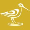 Shorebird Expeditions