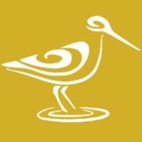Shorebird Expeditions