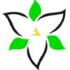Trillium Moving